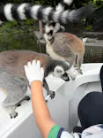 伊豆シャボテン動物公園に投稿された画像（2026/6/30）
