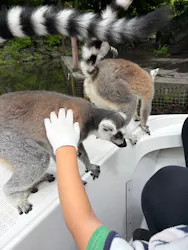 伊豆シャボテン動物公園に投稿された画像（2026/6/30）