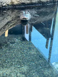 天王寺動物園に投稿された画像（2026/6/30）