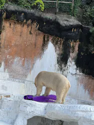 天王寺動物園に投稿された画像（2026/6/30）