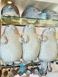 京都水族館に投稿された画像（2026/6/30）