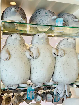 京都水族館に投稿された画像（2026/6/30）