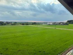 成田の命泉　大和の湯に投稿された画像（2026/6/30）