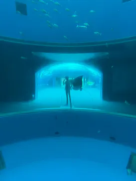 横浜・八景島シーパラダイスに投稿された画像（2026/6/30）