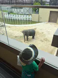 天王寺動物園に投稿された画像（2026/6/30）