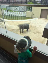 天王寺動物園に投稿された画像（2026/6/30）