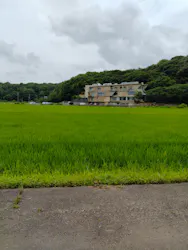 成田の命泉　大和の湯に投稿された画像（2026/6/30）