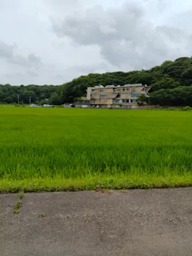 成田の命泉　大和の湯に投稿された画像（2026/6/30）