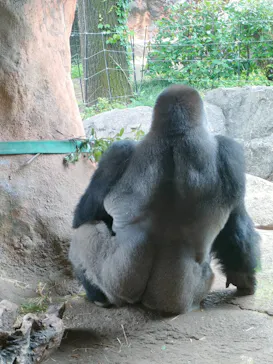 恩賜上野動物園に投稿された画像（2026/6/30）
