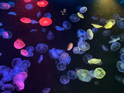 すみだ水族館に投稿された画像（2026/6/30）