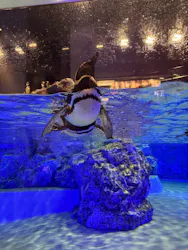 すみだ水族館に投稿された画像（2026/6/30）