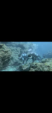 青の洞窟専門店　沖縄ダイビングショップ和に投稿された画像（2026/6/30）