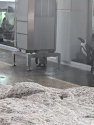 京都水族館に投稿された画像（2026/6/30）