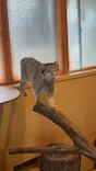 こども動物自然公園（埼玉県公園緑地協会）に投稿された画像（2026/6/30）