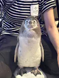 すみだ水族館に投稿された画像（2026/7/1）