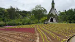 牧歌の里に投稿された画像（2026/7/1）