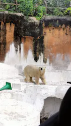 天王寺動物園に投稿された画像（2026/7/1）