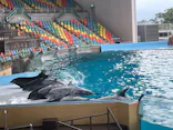 アドベンチャーワールドに投稿された画像（2026/7/1）