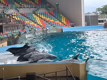 アドベンチャーワールドに投稿された画像（2026/7/1）