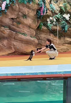 アドベンチャーワールドに投稿された画像（2026/7/1）