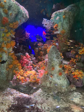 サンシャイン水族館に投稿された画像（2026/7/1）