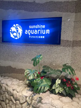 サンシャイン水族館に投稿された画像（2026/7/1）