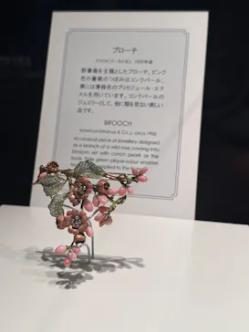 ミキモト真珠島に投稿された画像（2026/7/1）