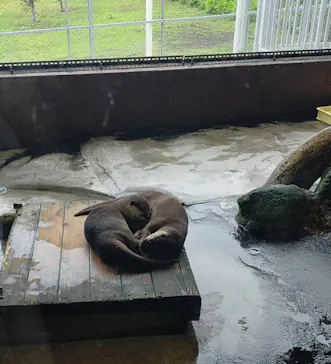 箱根園水族館に投稿された画像（2026/7/1）