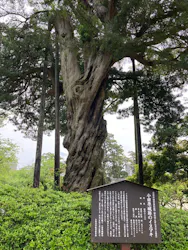 小田原城に投稿された画像（2026/7/1）