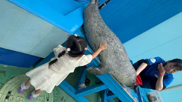 ゼロ距離水族館 伊勢シーパラダイスに投稿された画像（2026/7/1）