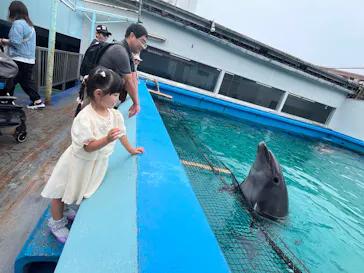 ゼロ距離水族館 伊勢シーパラダイスに投稿された画像（2026/7/1）
