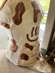 深谷峡温泉　清流の郷に投稿された画像（2026/7/2）