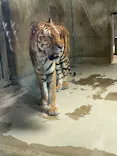 天王寺動物園に投稿された画像（2026/7/2）