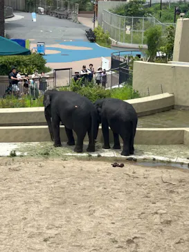 天王寺動物園に投稿された画像（2026/7/2）