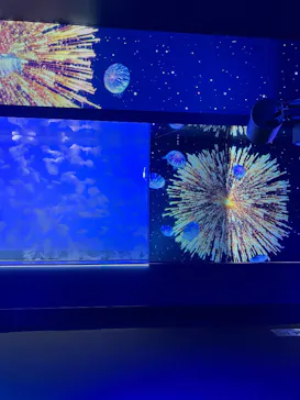 アクアワールド茨城県大洗水族館に投稿された画像（2026/7/2）