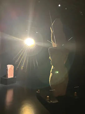 MYSTERY OF TUTANKHAMEN 体感型古代エジプト展に投稿された画像（2026/7/2）