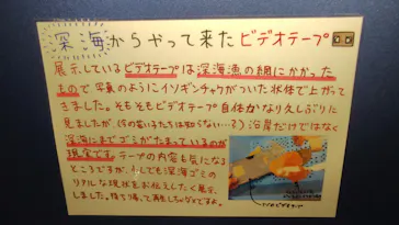 竹島水族館に投稿された画像（2026/7/2）