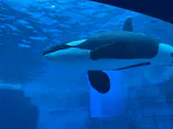 名古屋港水族館に投稿された画像（2026/7/2）
