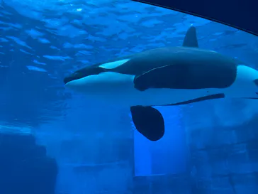 名古屋港水族館に投稿された画像（2026/7/2）