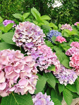 万博記念公園に投稿された画像（2026/7/2）