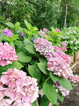 万博記念公園に投稿された画像（2026/7/2）