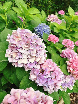 万博記念公園に投稿された画像（2026/7/2）