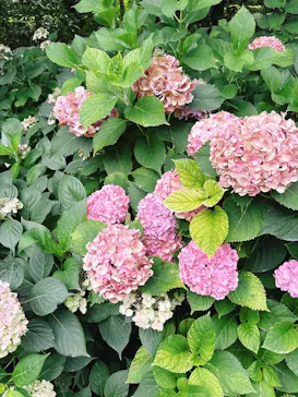 万博記念公園に投稿された画像（2026/7/2）
