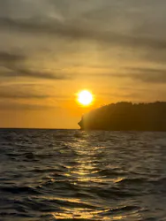 沖縄海うさぎ・海あしびに投稿された画像（2026/7/2）