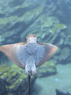 仙台うみの杜水族館に投稿された画像（2026/7/2）