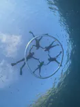 青の洞窟専門店　沖縄ダイビングショップ和に投稿された画像（2026/7/3）