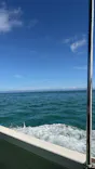 青の洞窟専門店　沖縄ダイビングショップ和に投稿された画像（2026/7/3）