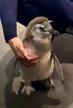 すみだ水族館に投稿された画像（2026/7/3）