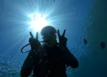武藤潜水に投稿された画像（2026/7/3）