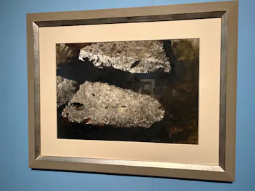 東京都美術館開館100周年記念　アンドリュー・ワイエス展に投稿された画像（2026/7/3）